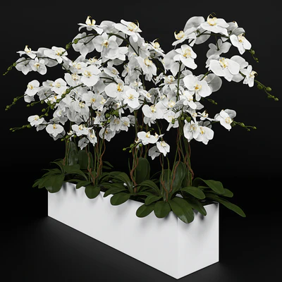 Орхидея (phalaenopsis) букет 3 — Вид 2