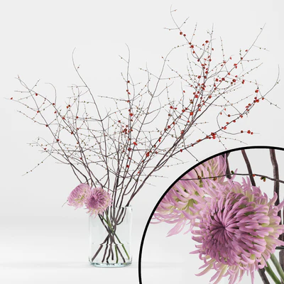 Prunus branches and chrysanthemums — Вид 1