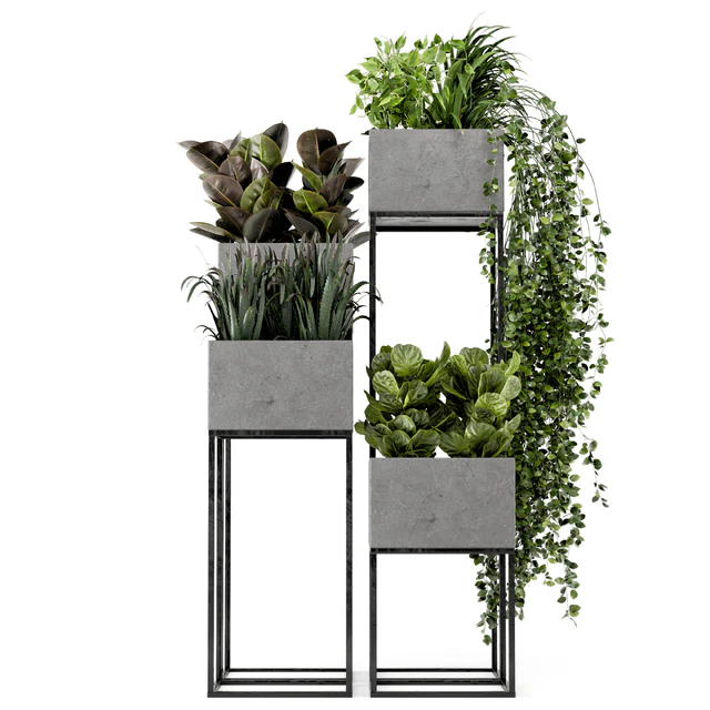 Indoor Plants in rusty Concrete Pot on Metal Shelf - Set 221 — Descargar
