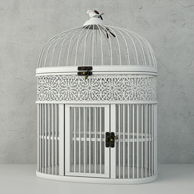 White Metal Bird Cage / ZARA HOME — Скачать