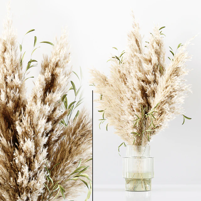 Pampas In Dina Fluted Glass Vase — Descargar