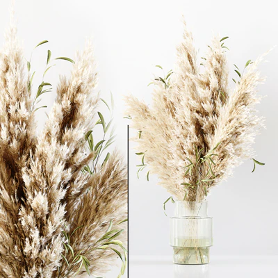 Pampas In Dina Fluted Glass Vase — Ver 2