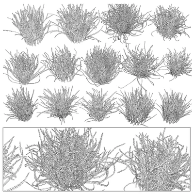 Garden Lawn — Ver 4