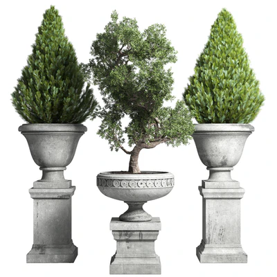 Collection Outdoor plant 44- tree thuja bonsai concrete old classic vase — Вид 1