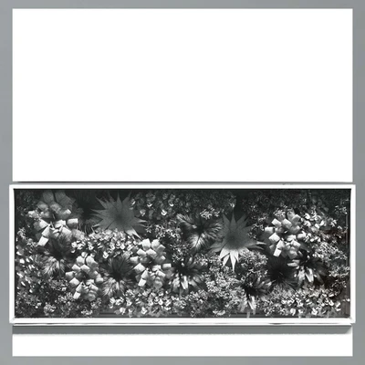 collection outdoor plant stand vertical garden wall glass box vase — Вид 3