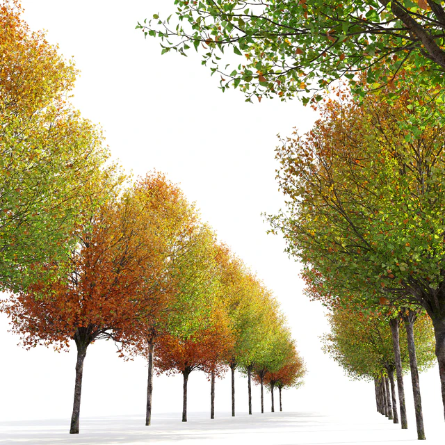 Autumn pear tree — Descargar