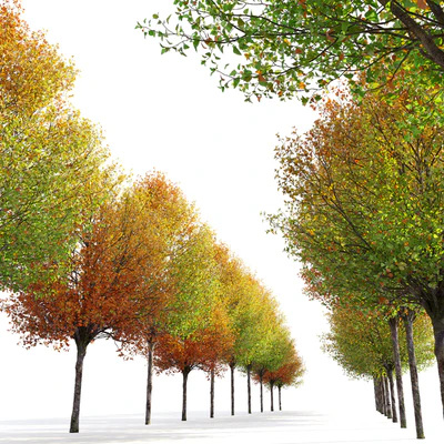 Autumn pear tree — Ver 2