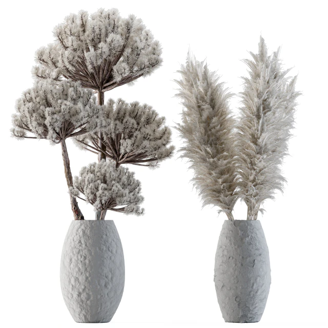 Dry plants 22 - Big Pampas asteroid Pot — Скачать