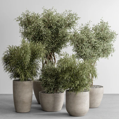 indoor Plant Set 417 - Tree and Bush — Ver 3