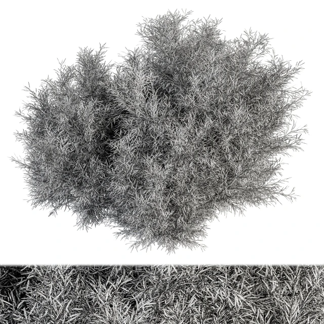 Needle Leaf Bush - Bush Set 32 — Скачать