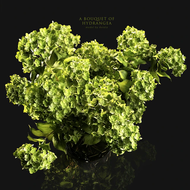 A bouquet of hydrangea — Descargar