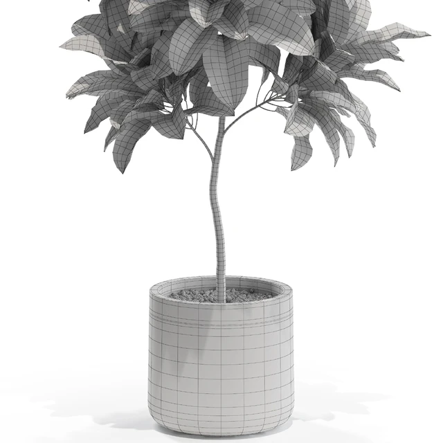 Plants collection 558 — Descargar