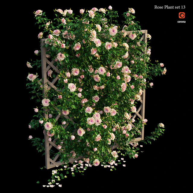 Rose plant set 13 — Скачать