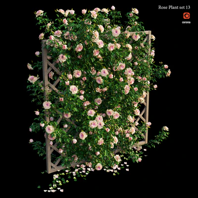Rose plant set 13 — Вид 4