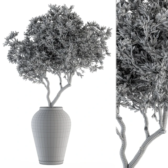 indoor Plant Set 128 - Tree in Pot — Скачать