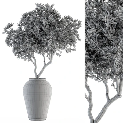 indoor Plant Set 128 - Tree in Pot — Вид 3