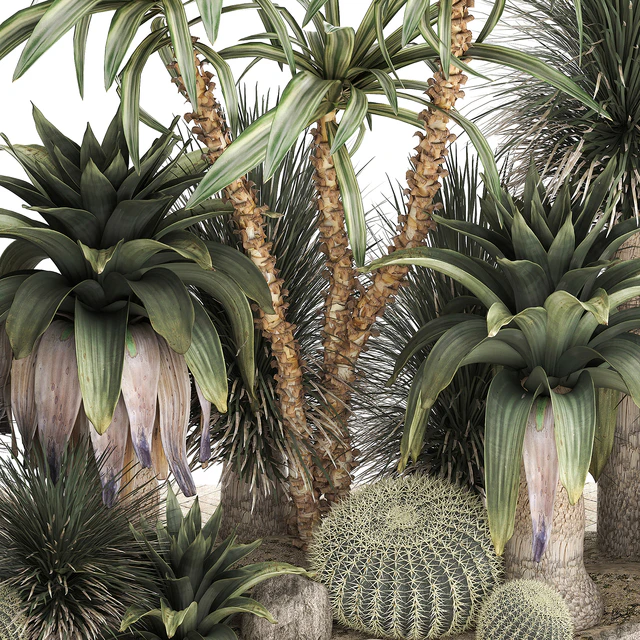 Collection of desert plants from cacti, Yucca and prickly pear, carnegie, Dracaena thickets, botanical garden. 1108. — Descargar