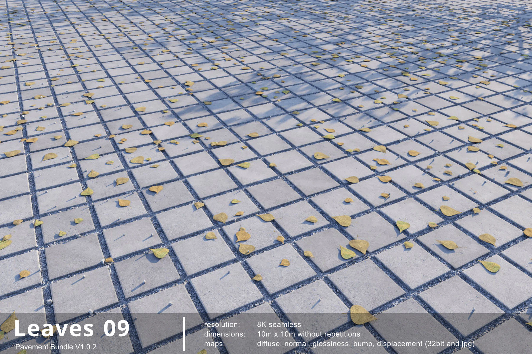 leaves 009 — Download