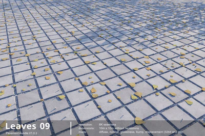 leaves 009 — download