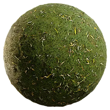 grass and leaves 004 — Скачать