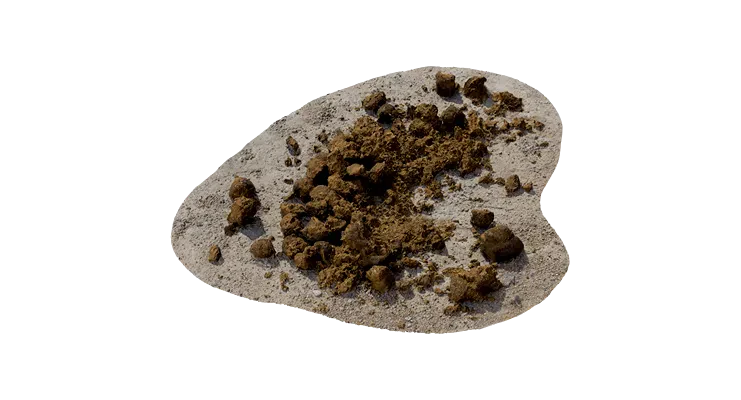 horse manure 002 — Скачать