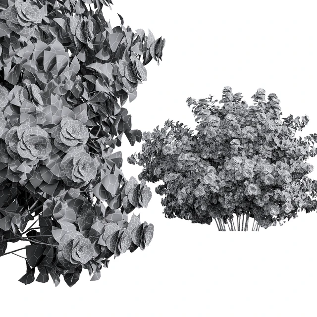 New Plant High detail Climbing Roses Bush — Descargar