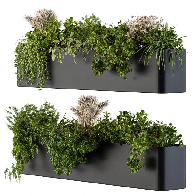 Plant Box on Wall 04 — Descargar