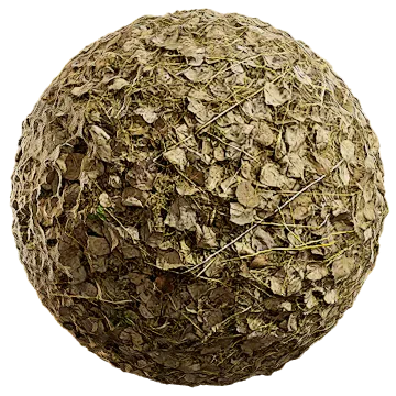 fallen leaves and grass 004 — Скачать