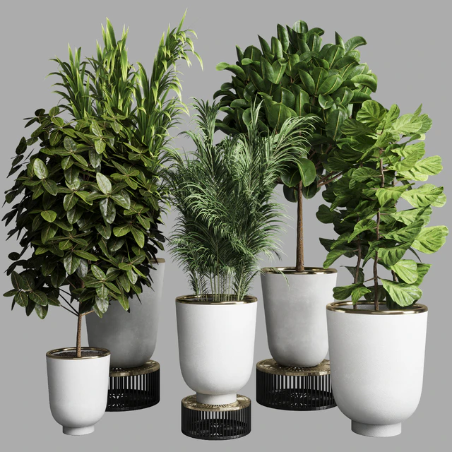 collection Indoor plant 35 -concrete vase — Скачать