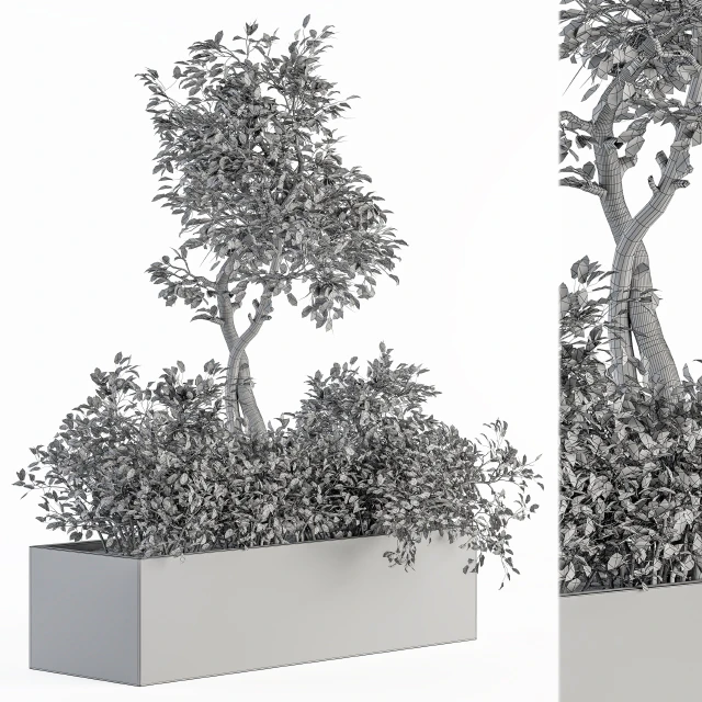 indoor Plant Set 235 - Plant Set in Box — Скачать