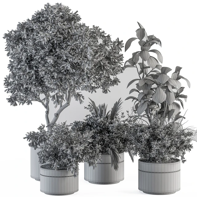 indoor Plant Set 373- Tree and Plant Set in pot — Descargar