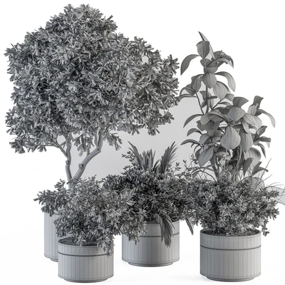indoor Plant Set 373- Tree and Plant Set in pot — Ver 3