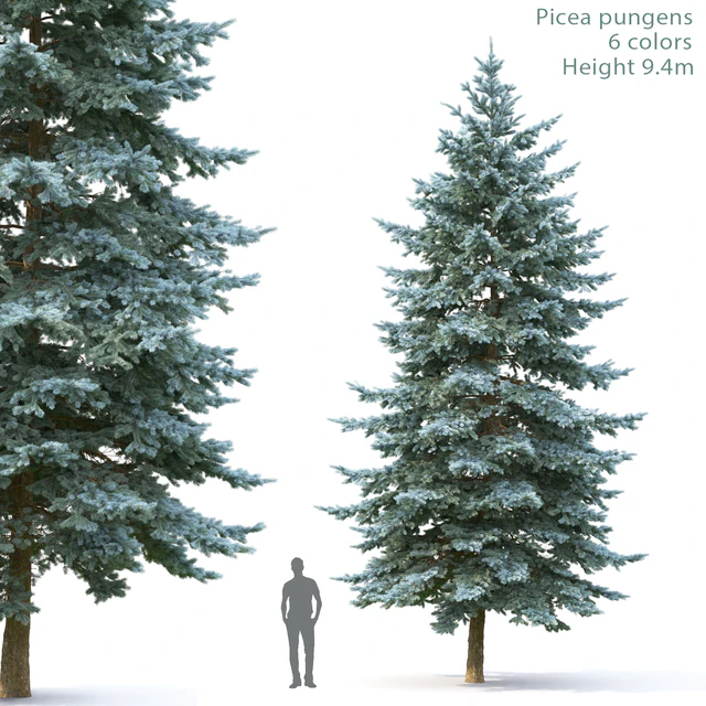 Spruce — Descargar