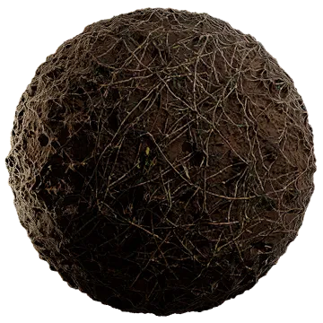 dried scarce grass 002 — Скачать