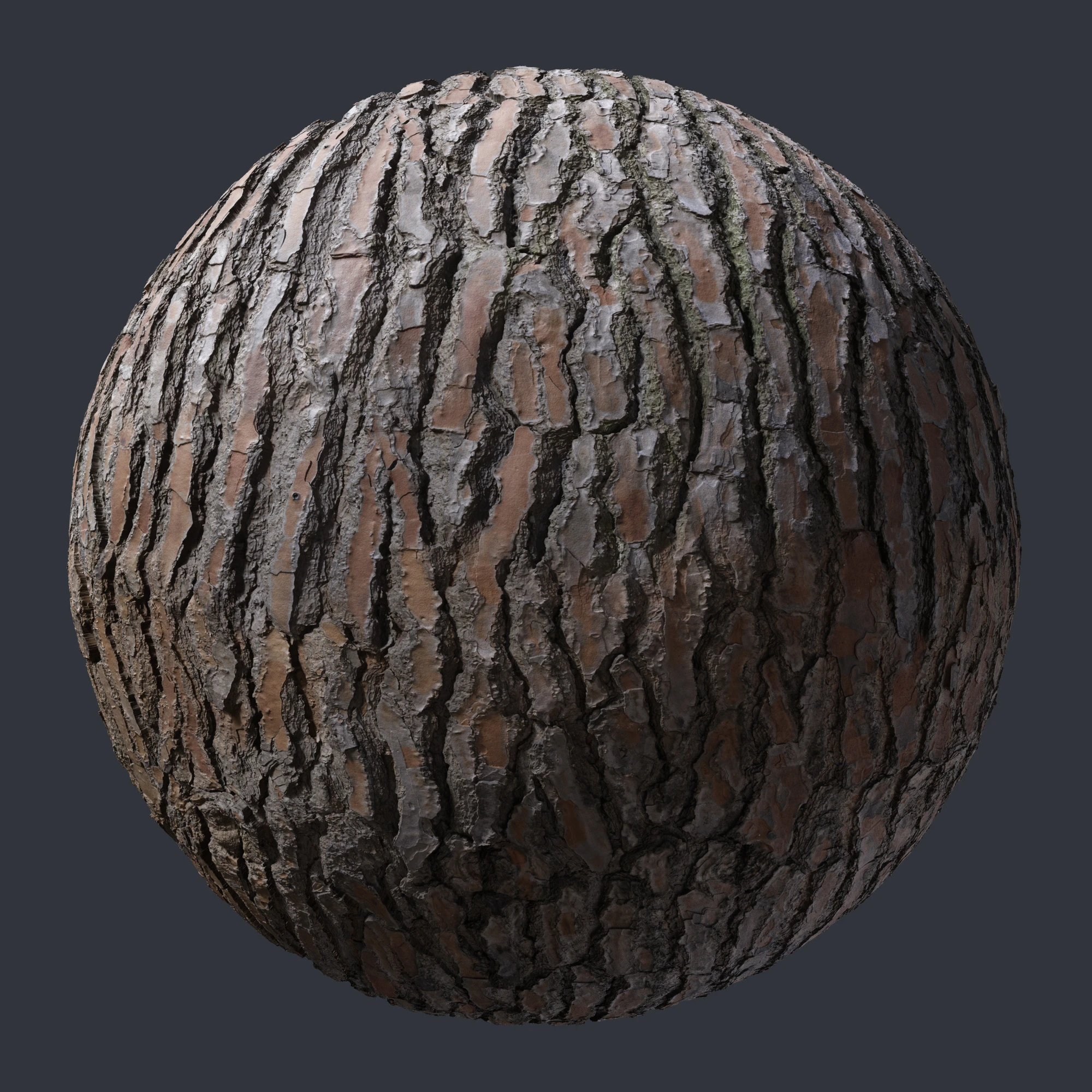 stone pine bark 001 — Download