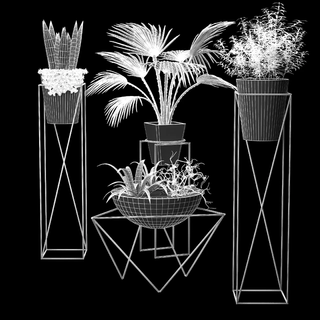 Flor2 — Descargar