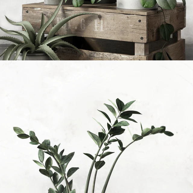 PLANTSET 2 — Descargar