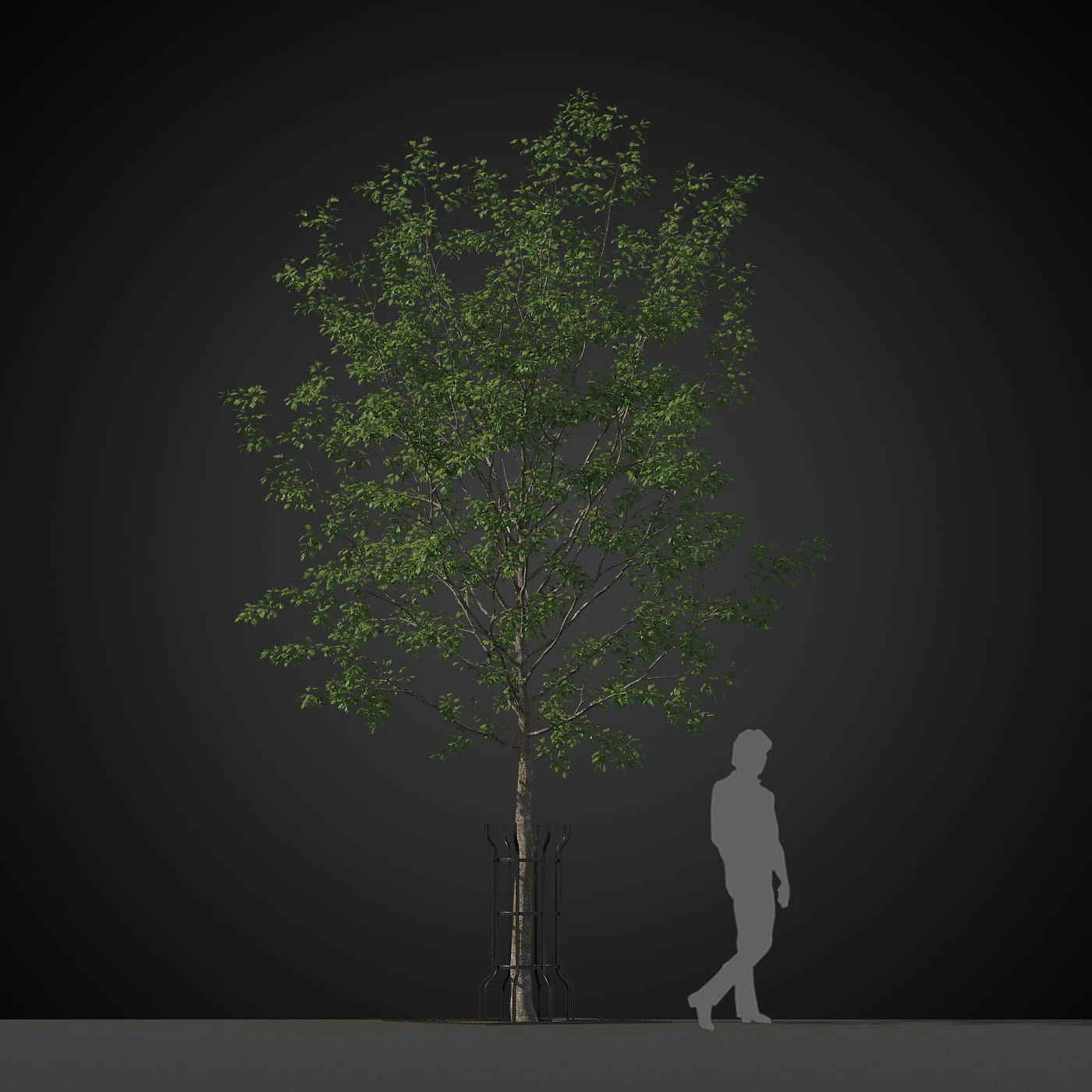 trees 021 — Descargar