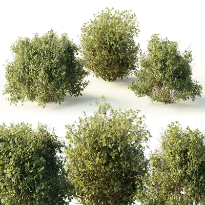 Collection mixed plants bush shrubs set 04 — Ver 1