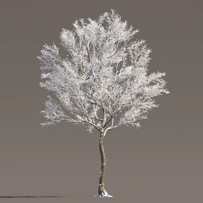 079 winter — Вид 1