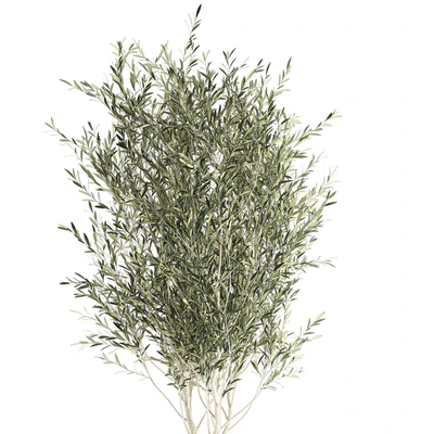 A beautiful little decorative olive tree in a wicker basket. Set 651. — Ver 2