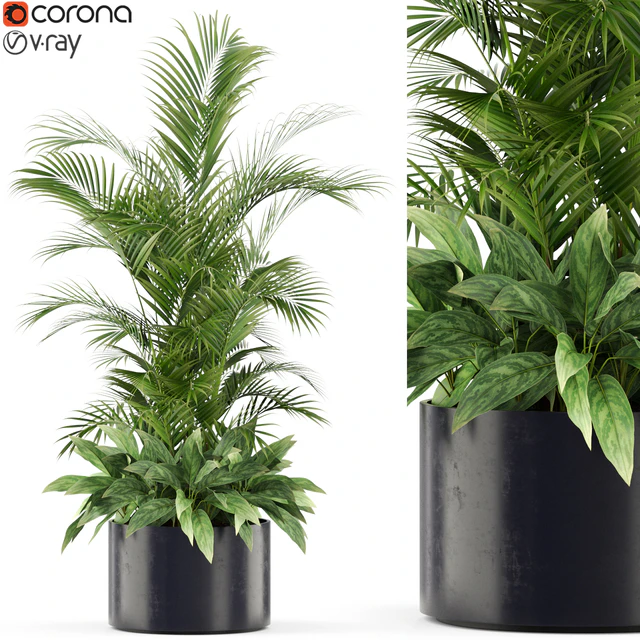 Plants collection 459 — Скачать