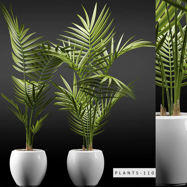 PLANTS 110 — Descargar