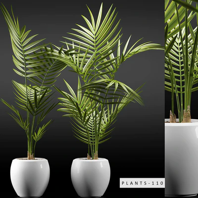PLANTS 110 — Ver 1