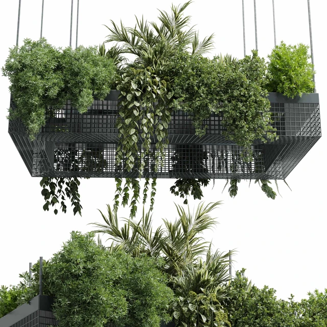 hanging plants - indoor plant set 447 Rectangle pendant pot vray — Скачать