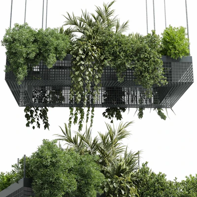 hanging plants - indoor plant set 447 Rectangle pendant pot vray — Вид 3