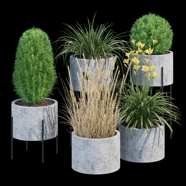 Cylinder linea — Descargar