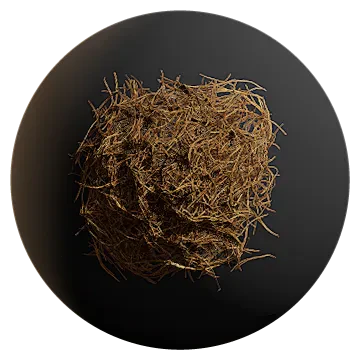pine debris 001 — Descargar