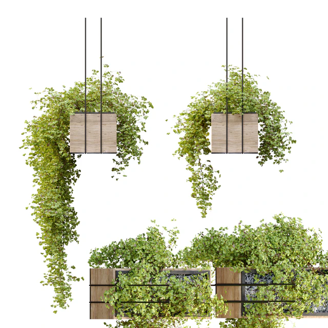 Plant hanger — Descargar