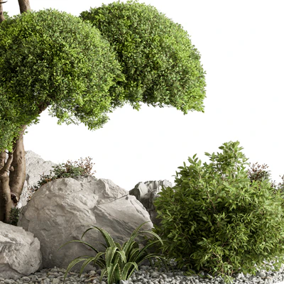 Garden Plants - Outdoor Plants 598 — View 2